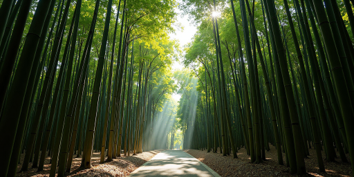 莫干山徒步路线的照片，山间小径蜿蜒，两旁竹林茂密，阳光透过竹叶洒在小径上，形成斑驳的光影效果